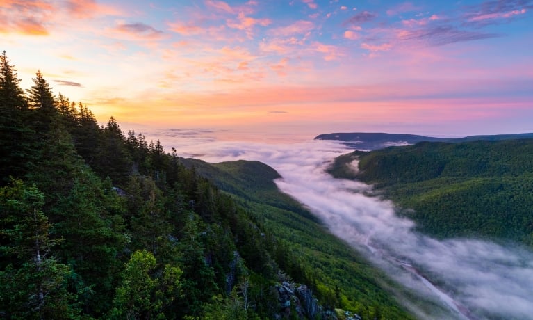 low fog rolls into wooded valley from the ocean