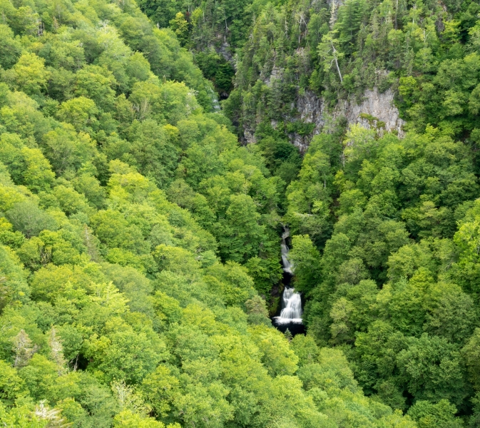 3 Challenging Waterfalls to Explore this Waterfall Season 1