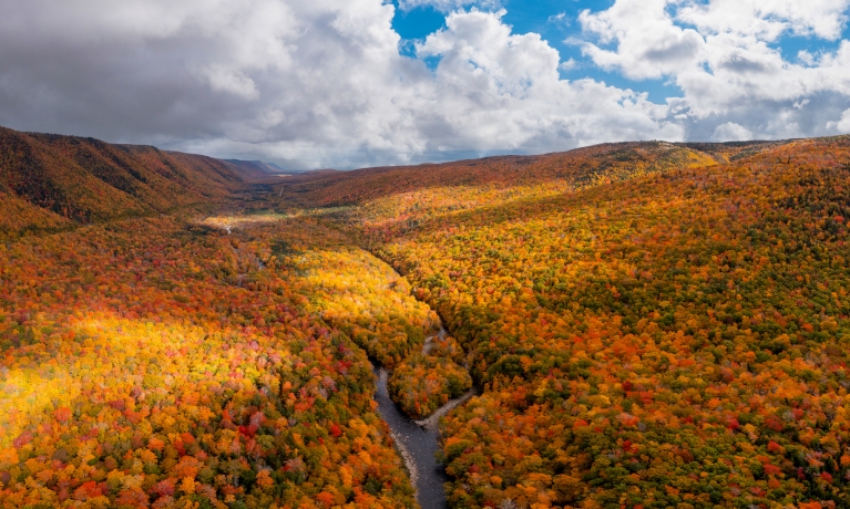 7 Natural Wonders of Autumn on Cape Breton Island 1