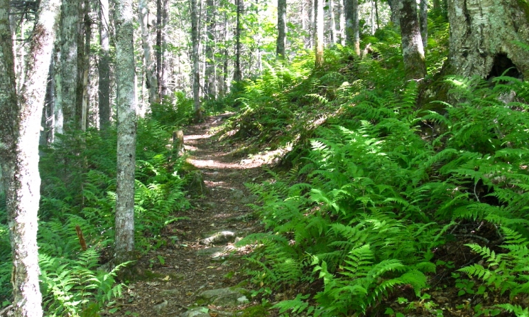 Ben Eoin + The Mermaid Kitchen
