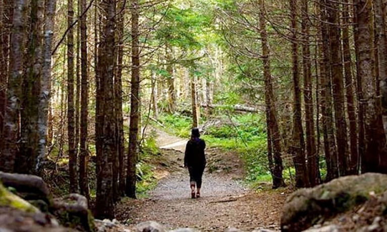 A woman walks down a trail in a dense forest
