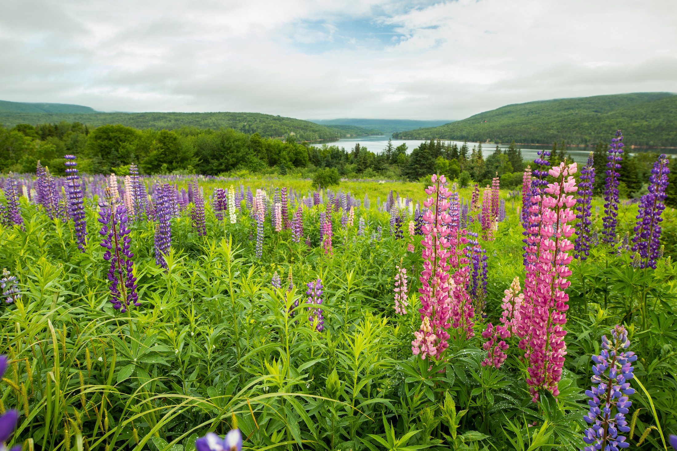 St Ann's Bay - A New Destination